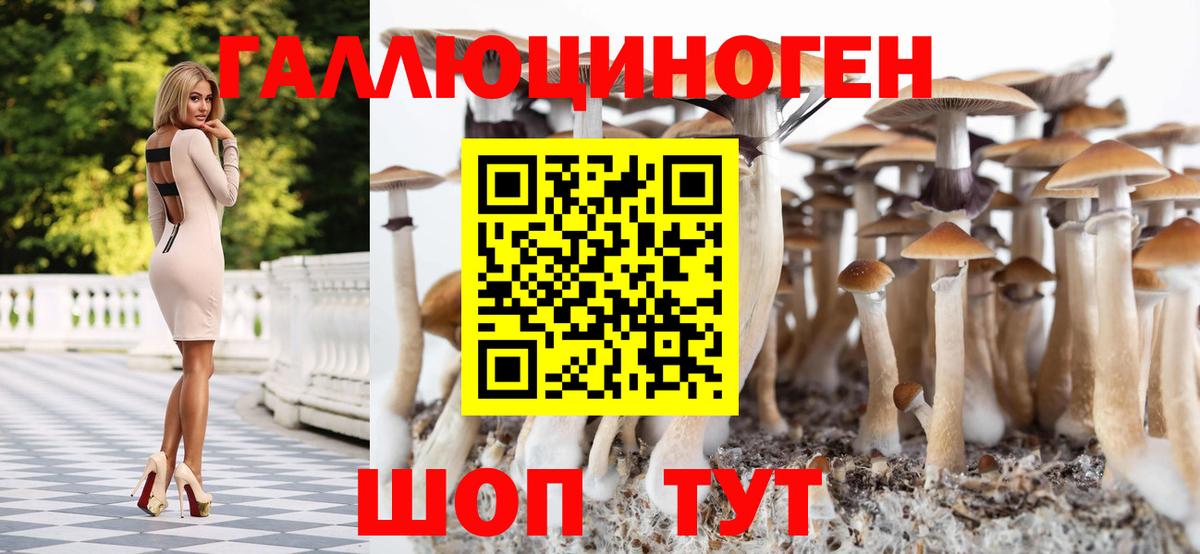 Псилоцибиновые грибы Magic Shrooms  Вход с VPN  Псилоцибиновые грибы MAGIC MUSHROOMS  Новосибирск 